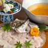 淡路島で“べっぴん鱧”を堪能！「海神人の食卓」で絶品はもすき懐石（期間限定）
