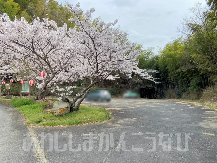 浅野公園の駐車場