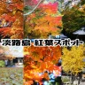 【淡路島 紅葉スポット】おすすめスポット・見頃の時期・紅葉の種類（2024年）