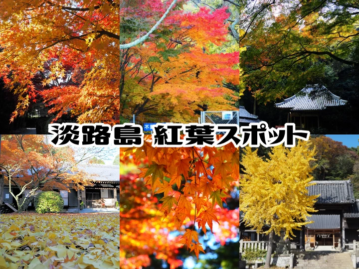 【淡路島 紅葉スポット】おすすめスポット・見頃の時期・紅葉の種類（2024年）