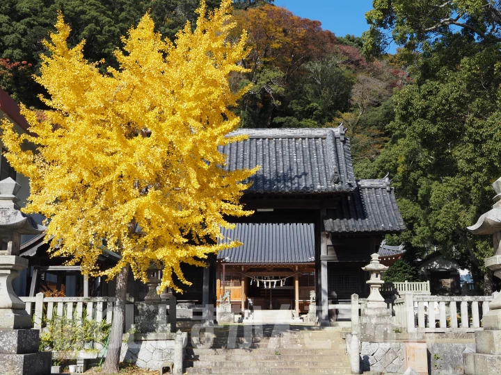 炬口八幡神社の紅葉