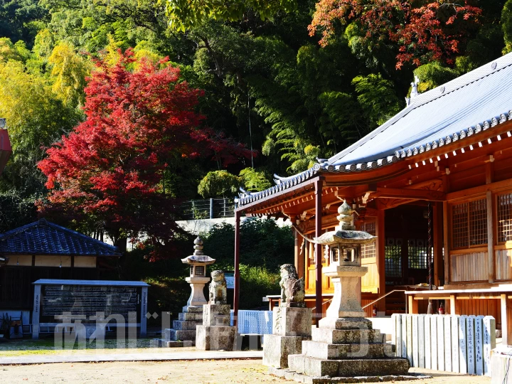 炬口八幡神社の紅葉