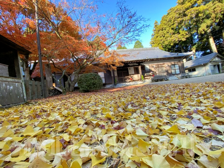 常隆寺の紅葉