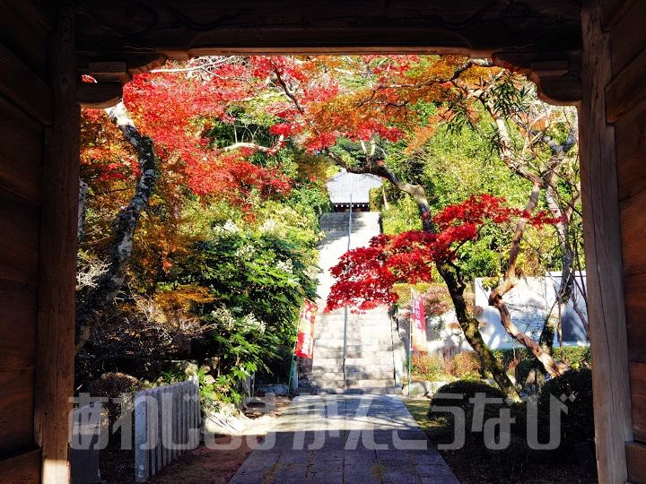 東山寺の紅葉