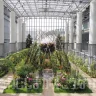 日本最大級の温室植物館「あわじグリーン館」の展示内容や見どころをチェック！