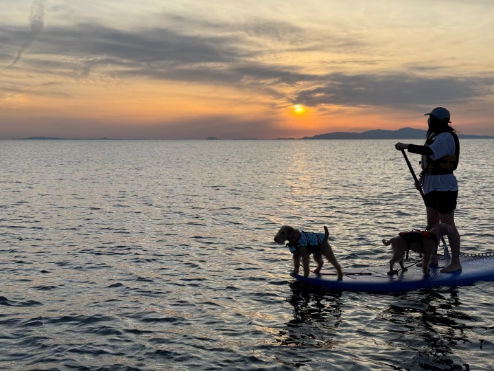 絶景の夕日