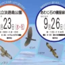 秋の探鳥会（淡路島公園・あわじ石の寝屋緑地）野鳥＆渡り鳥をバードウオッチング