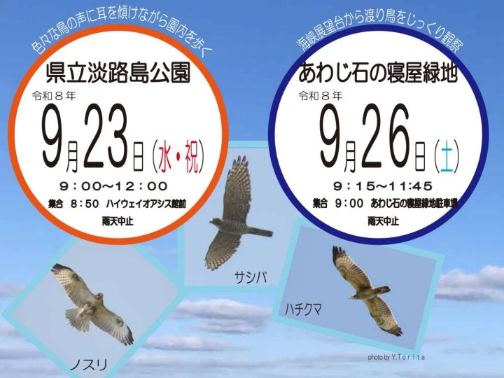 秋の探鳥会（淡路島公園・あわじ石の寝屋緑地）野鳥＆渡り鳥をバードウオッチング