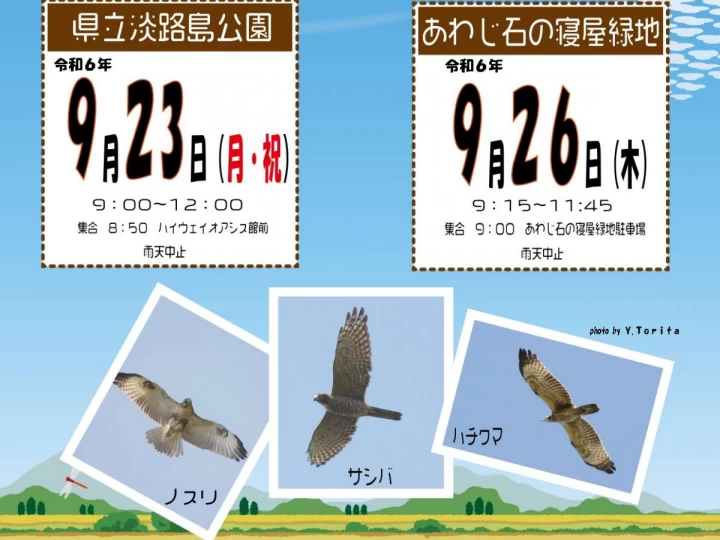 秋の探鳥会（淡路島公園・あわじ石の寝屋緑地）野鳥＆渡り鳥をバードウオッチング