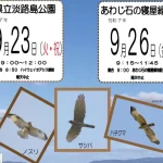 秋の探鳥会（淡路島公園・あわじ石の寝屋緑地）野鳥＆渡り鳥をバードウオッチング