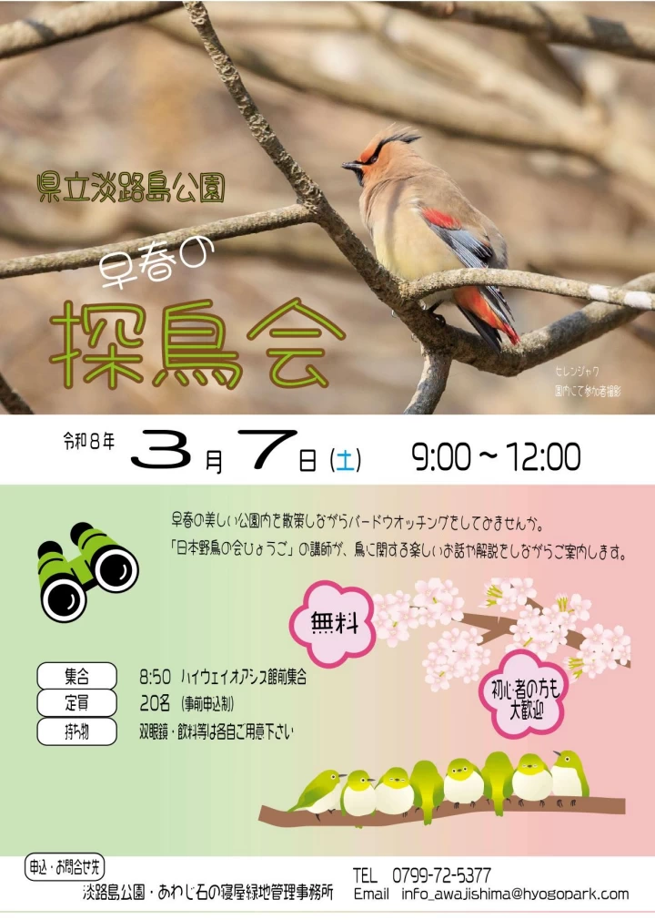 早春の探鳥会