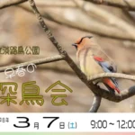 早春の淡路島公園で「探鳥会」散策しながらバードウォッチングを楽しもう
