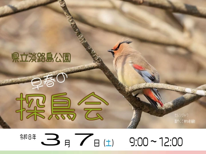 早春の淡路島公園で「探鳥会」散策しながらバードウォッチングを楽しもう