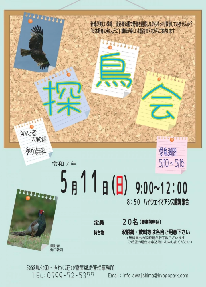 探鳥会