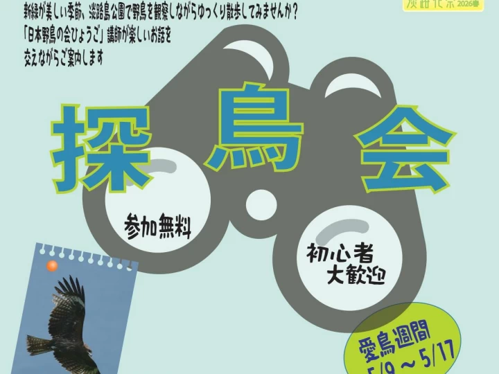 初夏の淡路島公園で「探鳥会」新緑の森を散策しながらバードウォッチング