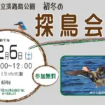初冬の探鳥会（淡路島公園）散策しながらバードウォッチング＆野鳥撮影