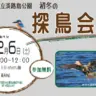 初冬の探鳥会（淡路島公園）散策しながらバードウォッチング＆野鳥撮影