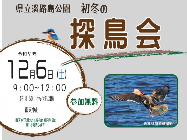 初冬の探鳥会（淡路島公園）散策しながらバードウォッチング＆野鳥撮影