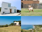【Dog Villa TOWA（永遠）】1日1組限定のドッグラン付き貸別荘（淡路市江井）