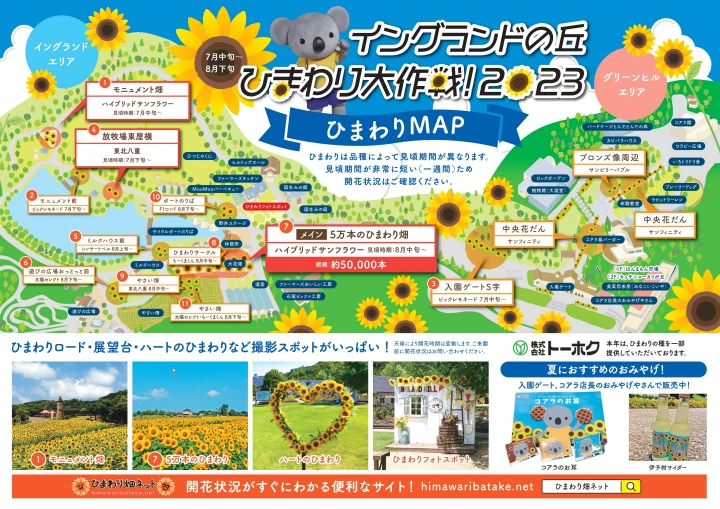 ひまわり畑で見られるひまわり&見頃時期