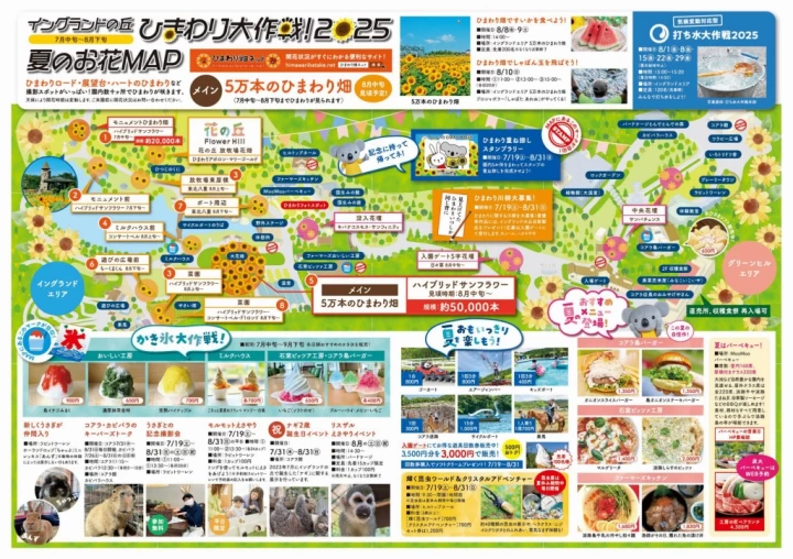 ひまわり畑で見られるひまわり&見頃時期