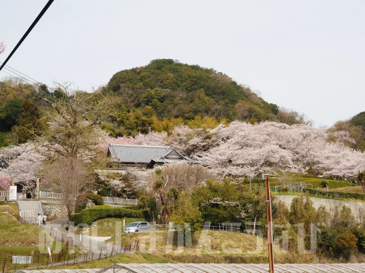 圓城寺（円城寺）