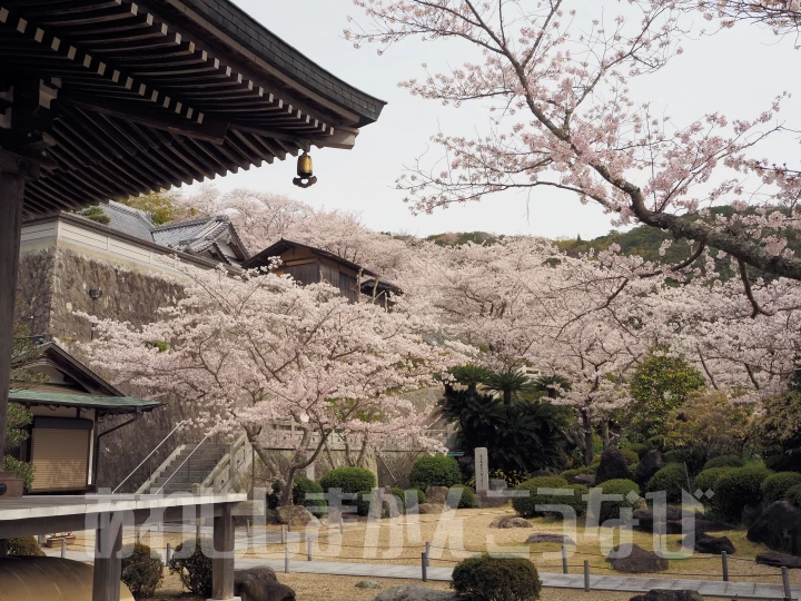 中根金作氏作の庭園