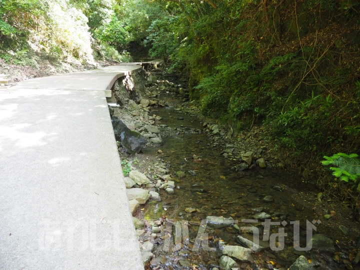 大川に沿うように歩道が整備