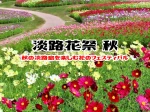 淡路花祭2022秋！予定されているイベント・開花情報・施設