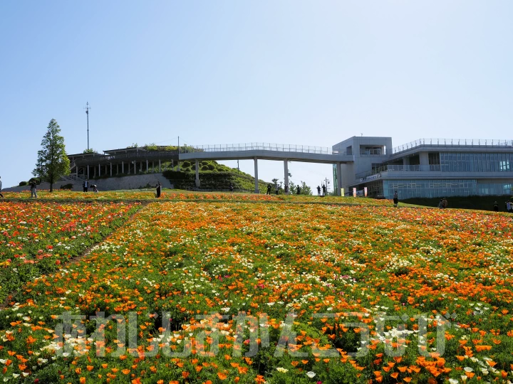 天空の花園