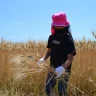 淡路島でデュラム小麦の収穫を体験してみませんか？生パスタランチ付き（淡路麺業 DAN-MEN）