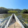 【本福寺水御堂】蓮池下の幻想的な本堂は必見（安藤忠雄設計建築）