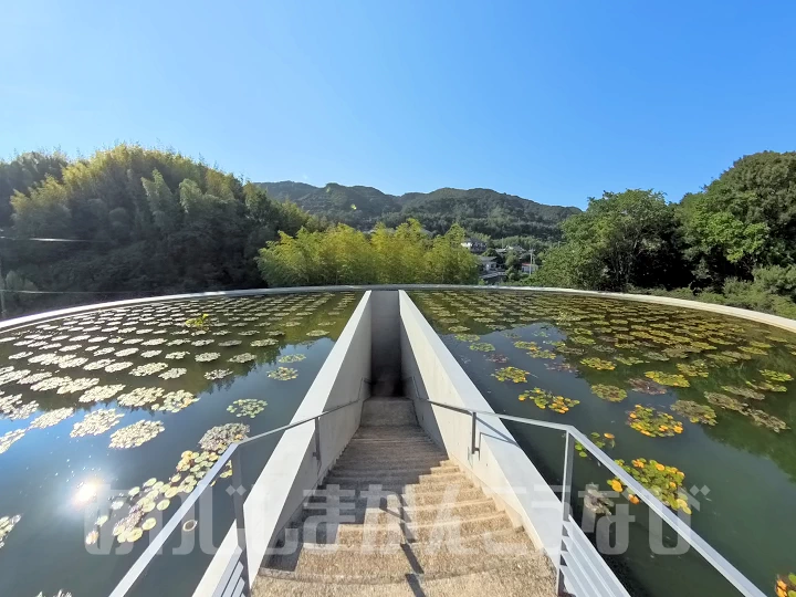 【本福寺水御堂】蓮池下の幻想的な本堂は必見（安藤忠雄設計建築）