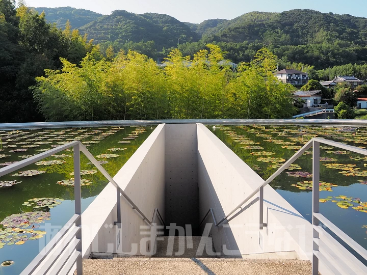 蓮池の真ん中の階段から本堂に入ります