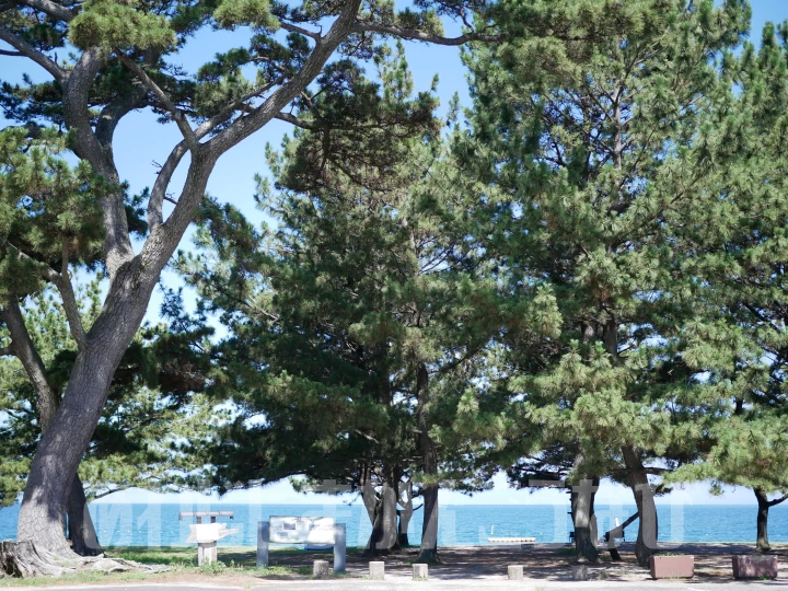 淡路島・慶野松原に泊ろう！おすすめホテル・旅館・ヴィラ6選