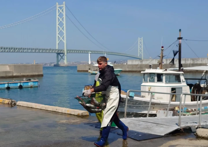岩屋漁港で水揚げされた真鯛を競り会場に運ぶ様子