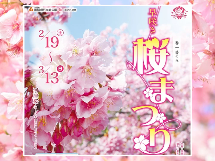 淡路島で一番早い花見！「早咲き桜まつり」明石海峡公園で開催