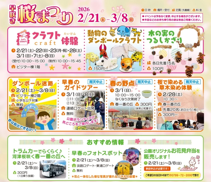 早咲き桜まつりのイベント