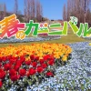 淡路島・花のリレーを楽しむ「春のカーニバル」明石海峡公園で開催