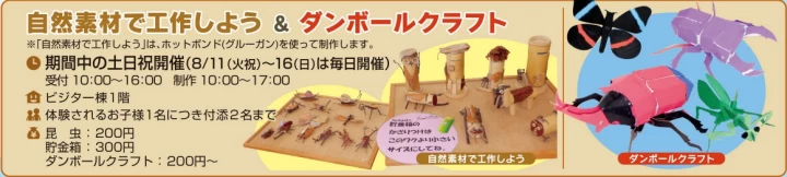 自然素材で工作しよう＆ダンボールクラフト