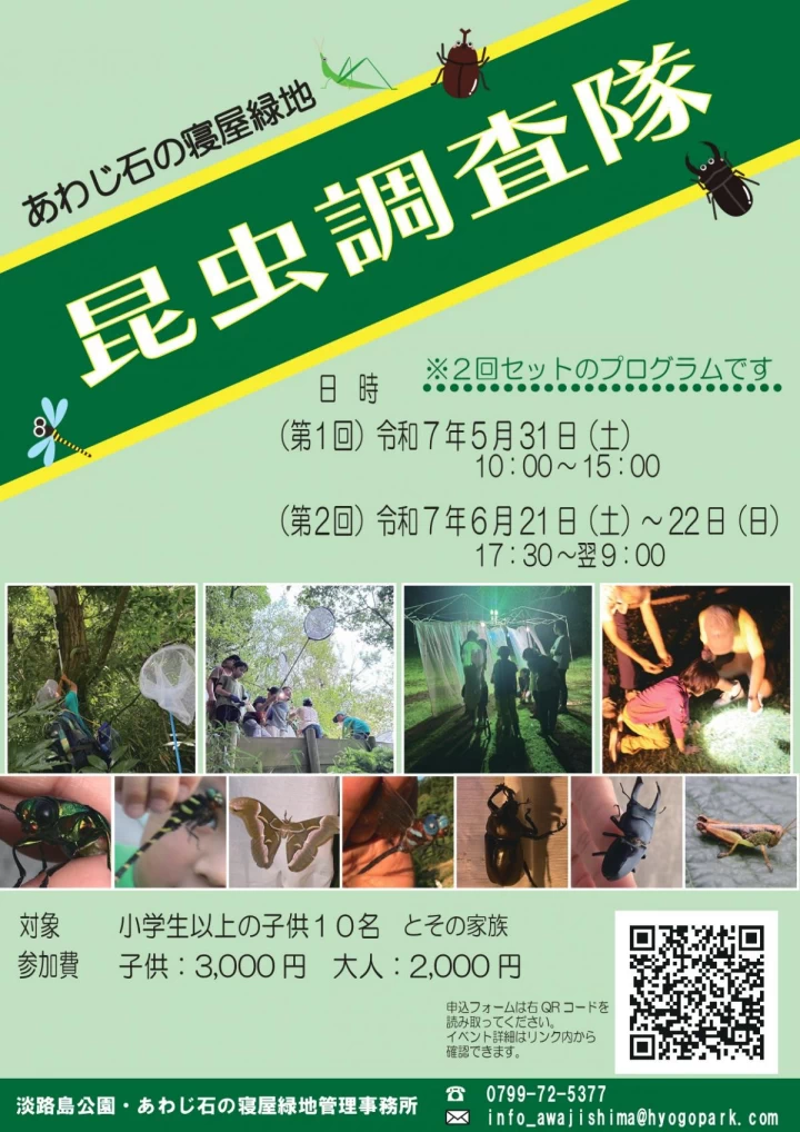 昆虫調査隊