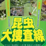 【昆虫大捜査線 in 洲本】ウェルネスパーク五色で昆虫採集イベント開催
