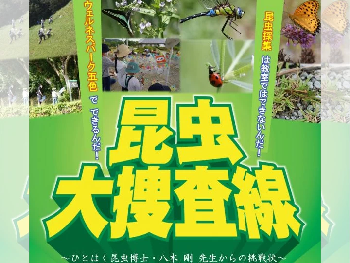 【昆虫大捜査線 in 洲本】ウェルネスパーク五色で昆虫採集イベント開催