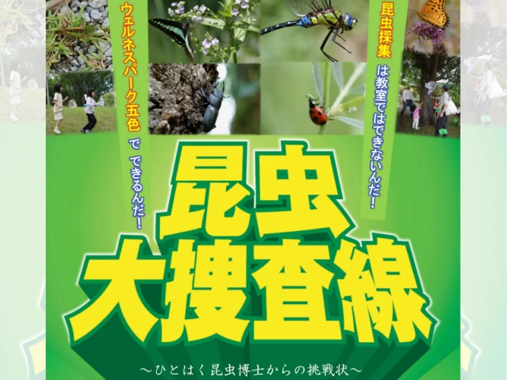 【昆虫大捜査線 in 洲本】ウェルネスパーク五色で昆虫採集イベント開催