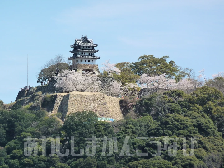 桜がきれいな洲本城
