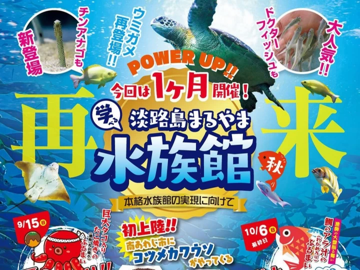 【淡路島まるやま水族館】魚彩館/海の展望広場に1ヶ月限定オープン！9/15~10/6