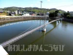 【ミニ明石海峡大橋】淡路島洲本市にリアルな1/100大橋模型（門口池大橋）