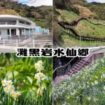 【灘黒岩水仙郷】斜面一面にスイセンが咲き誇る日本三大水仙群生地