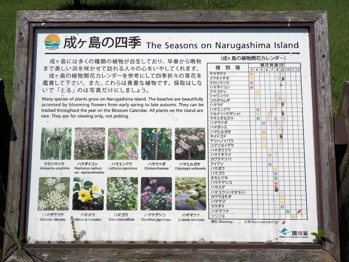 成ヶ島は貴重な植物が数多く残る自然の宝庫