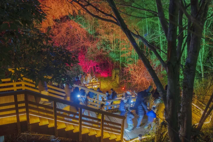 夜の森をナイトウォーク体験